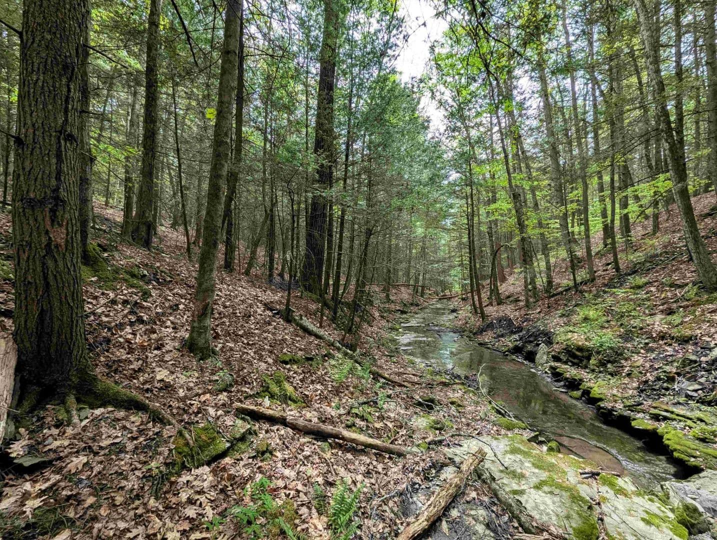 5 acre Recreational Property with Stream in Addison NY Stewart Rd - Addison, New York, 14801