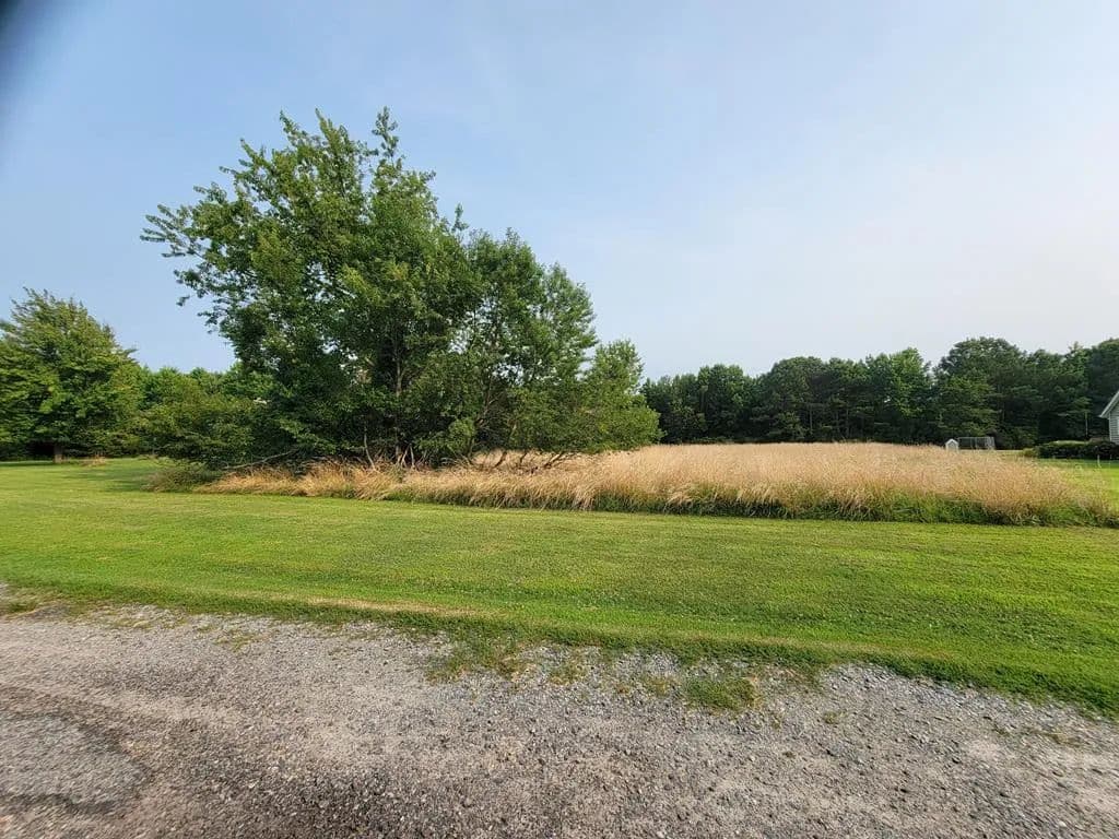 Land -Single Family Acreage in Accomac - Accomac, Virginia, 23301