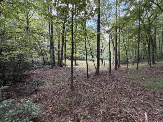 Lots & Land-Other in Ellijay - Ellijay, Georgia, 30540