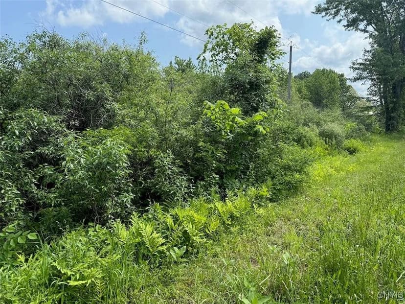 Lots & Land-Other in Lacona