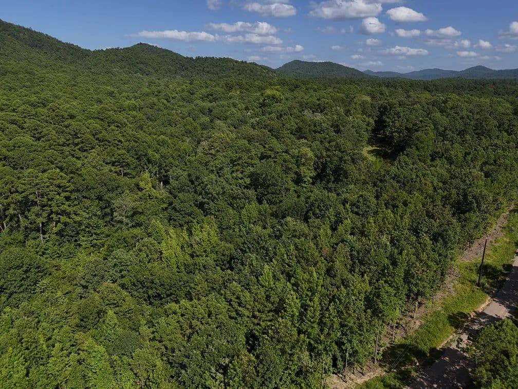 Land -Single Family Acreage in Mena - Mena, Arkansas, 71953