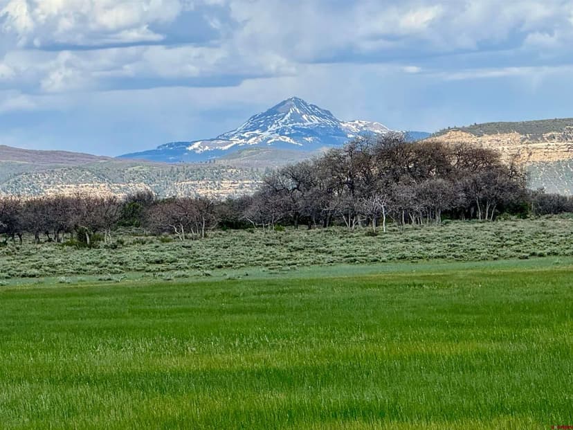 Vacant Land in Dove Creek