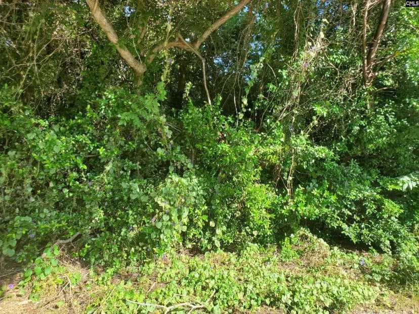 Lots & Land-Other in Orangeburg