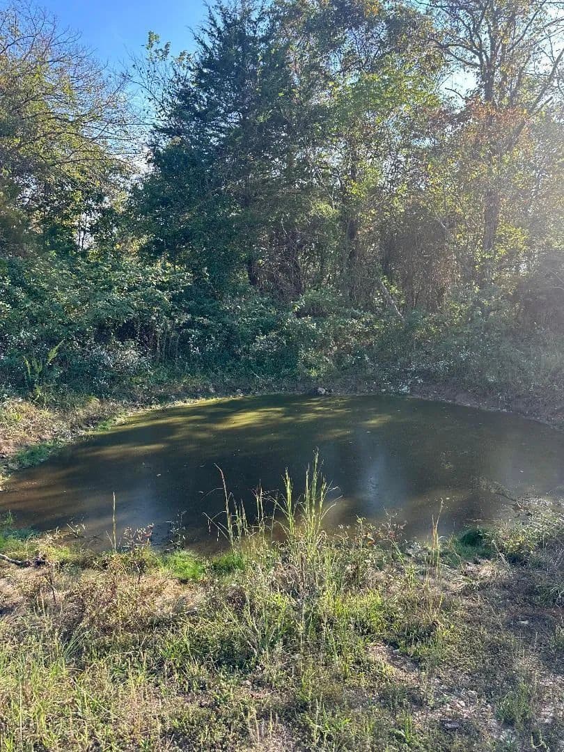 Lots & Land-Other in Mountain Grove - Mountain Grove, Missouri, 65711