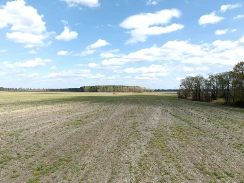 43.19 acres of farm and  timber land in Gates County NC!