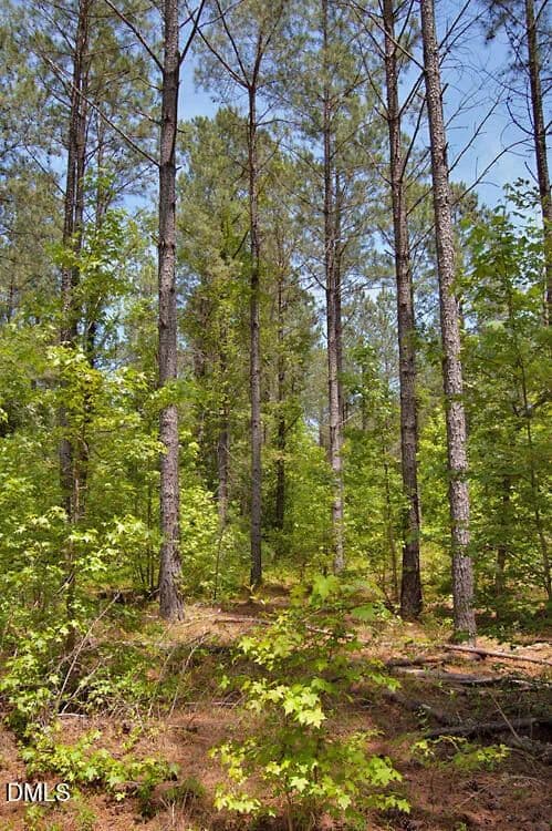 10.19 Acres of Land for Sale in Louisburg, North Carolina - Louisburg, North Carolina, 27549