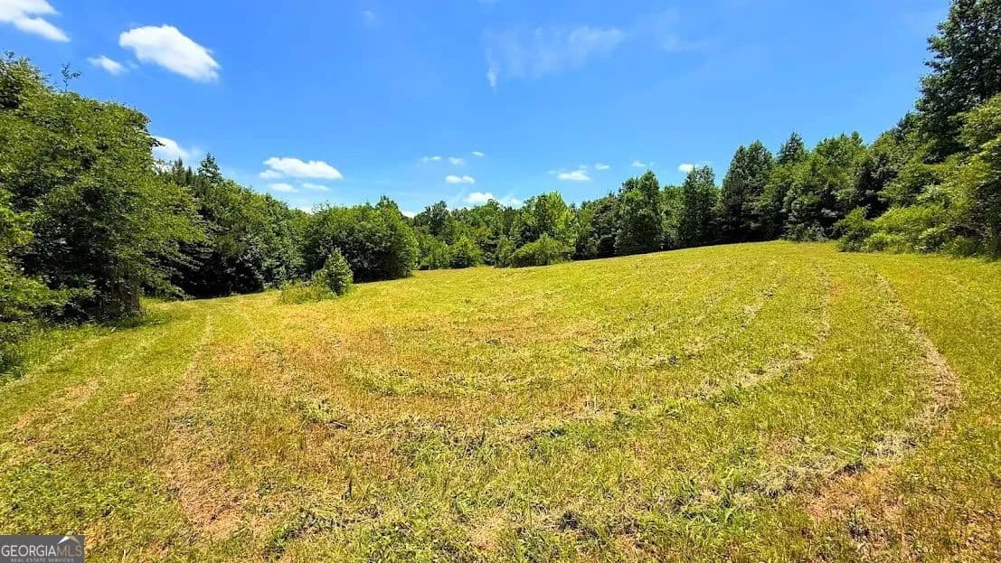 11 Acres of Land for Sale in Bremen, Georgia - Bremen, Georgia, 30110