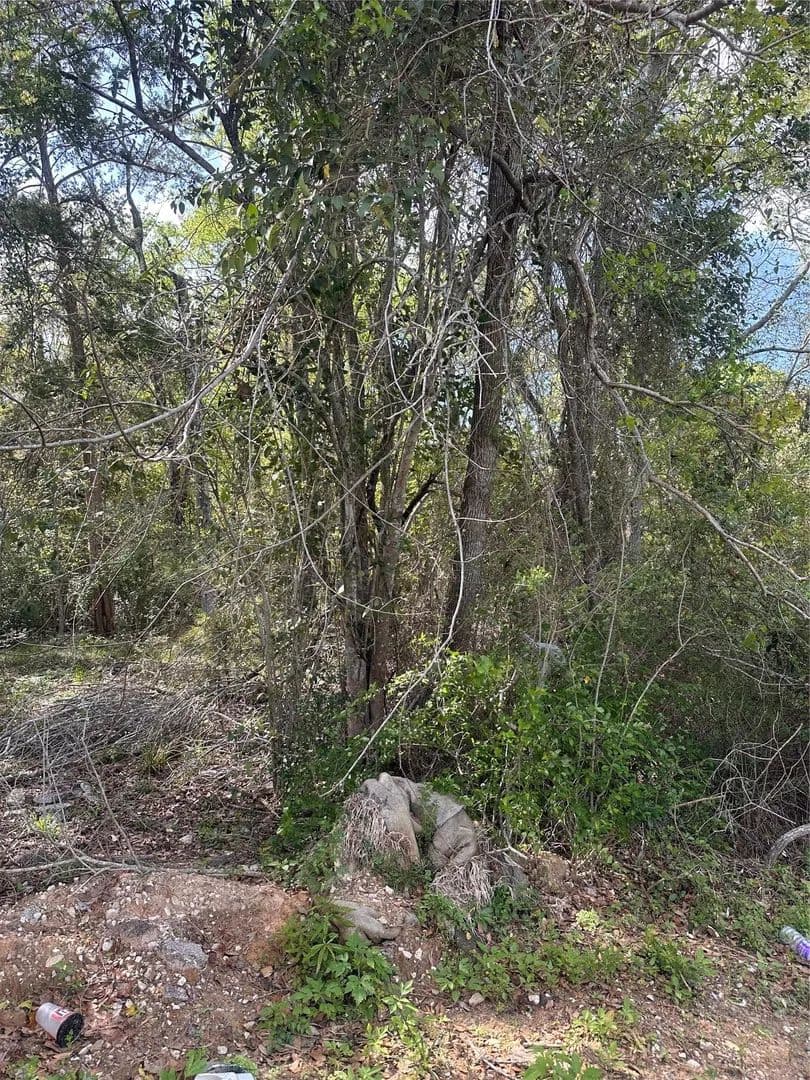 Lots & Land-Other in Conroe - Conroe, Texas, 77301