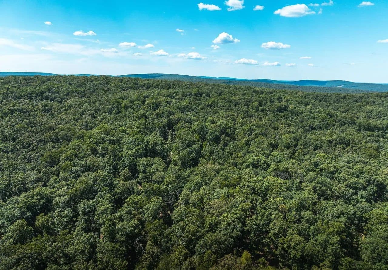 Bread Tray Mountain Lot 1 - Doe Run, Missouri, 63667
