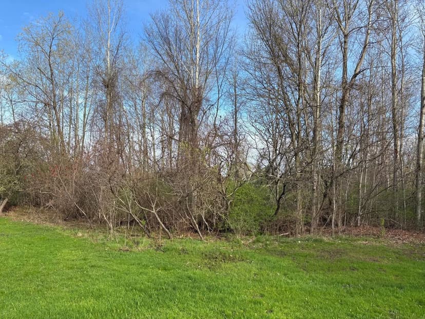 Lots & Land-Other in Hart