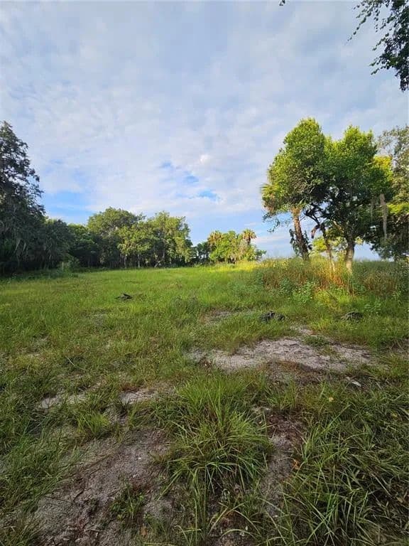 Vacant Land in Geneva - Geneva, Florida, 32732
