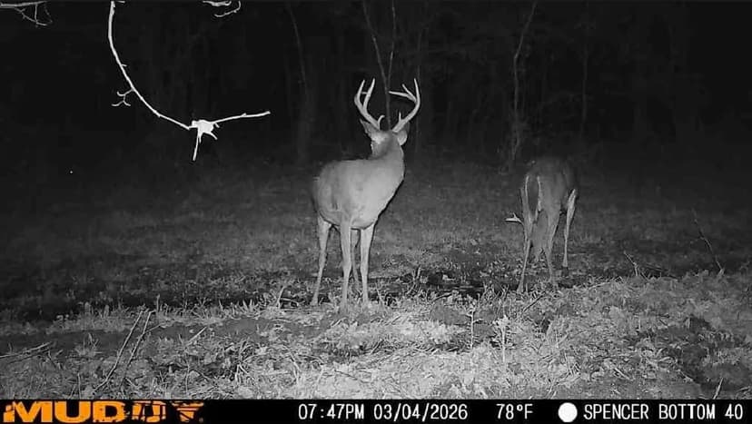 160 acres In Bogue Chitto