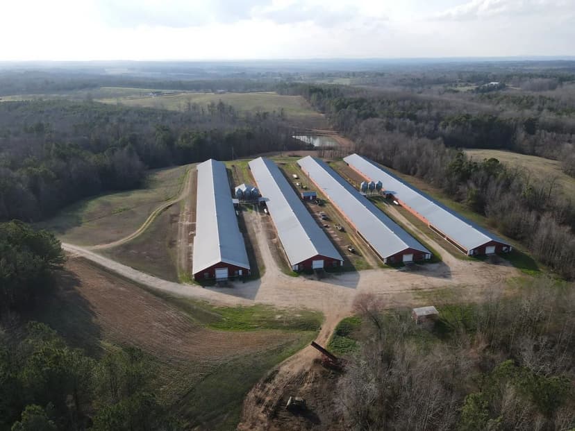 Cedar Creek Broiler Farm