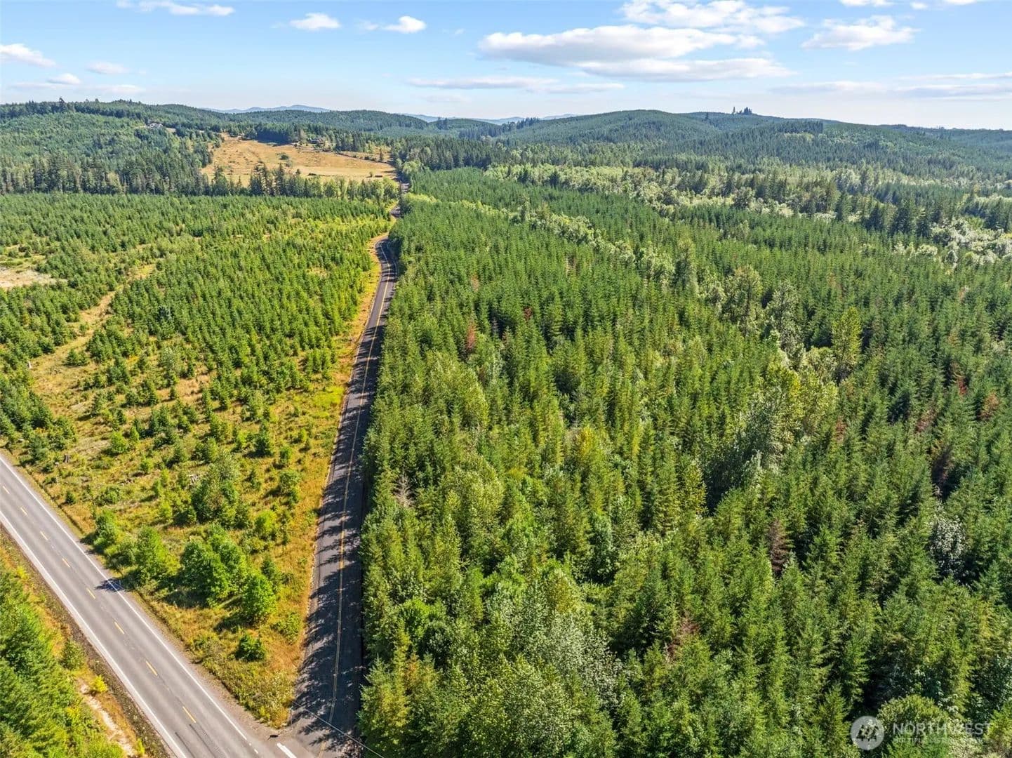 Vacant Land in Toutle - Toutle, Washington, 98649