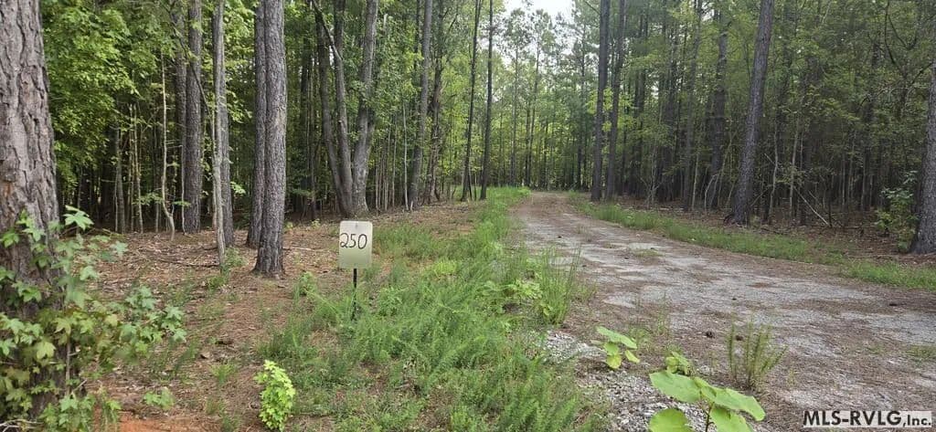 Vacant Land in Littleton - Littleton, North Carolina, 27850