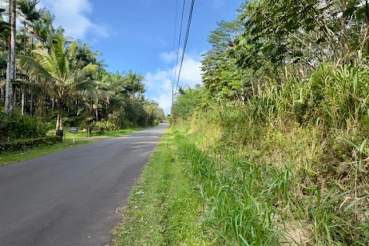 Vacant Land in Pahoa - Pahoa, Hawaii, 96778