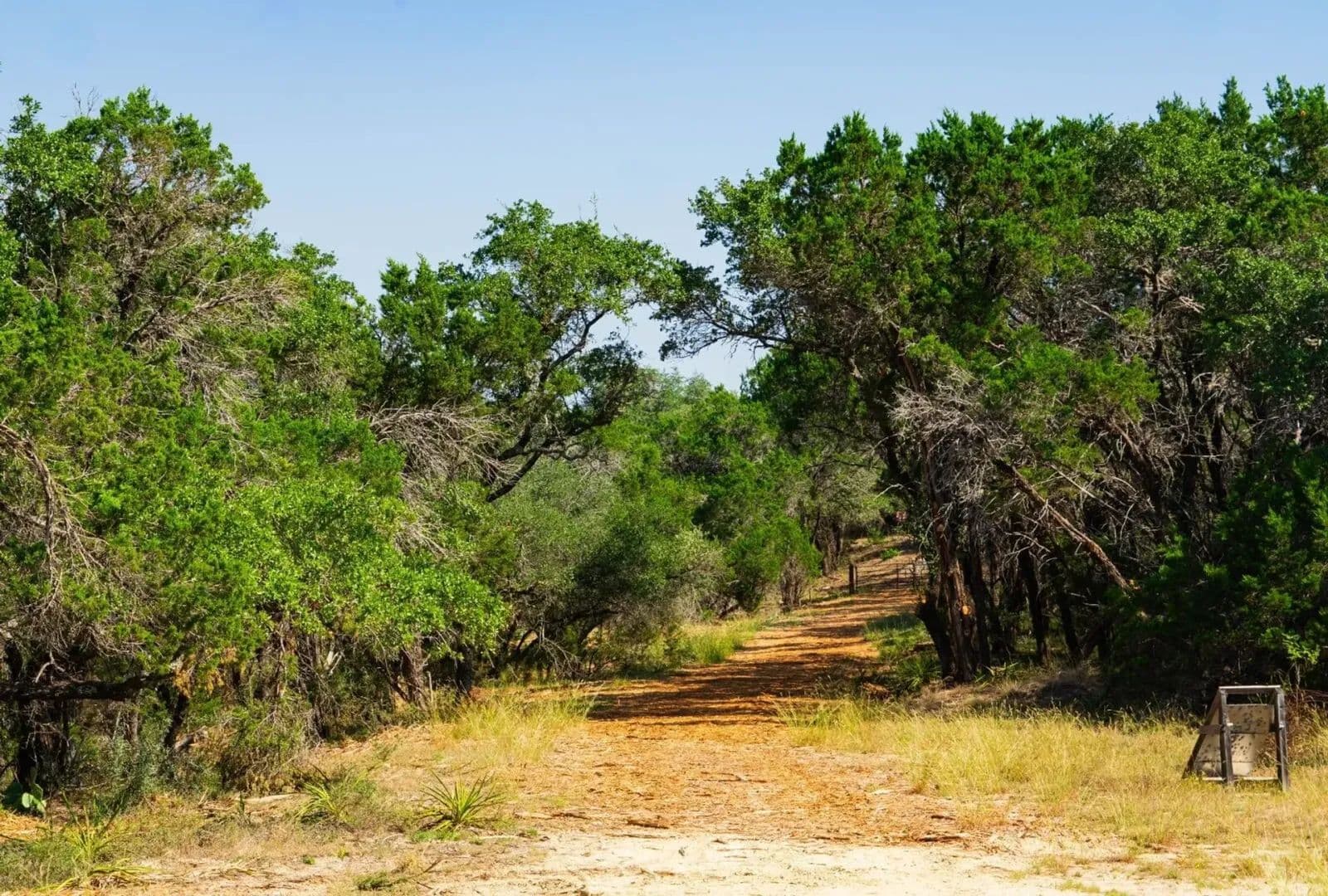 40 Acres of Land for Sale in Spicewood, TX - Spicewood, Texas, 78669