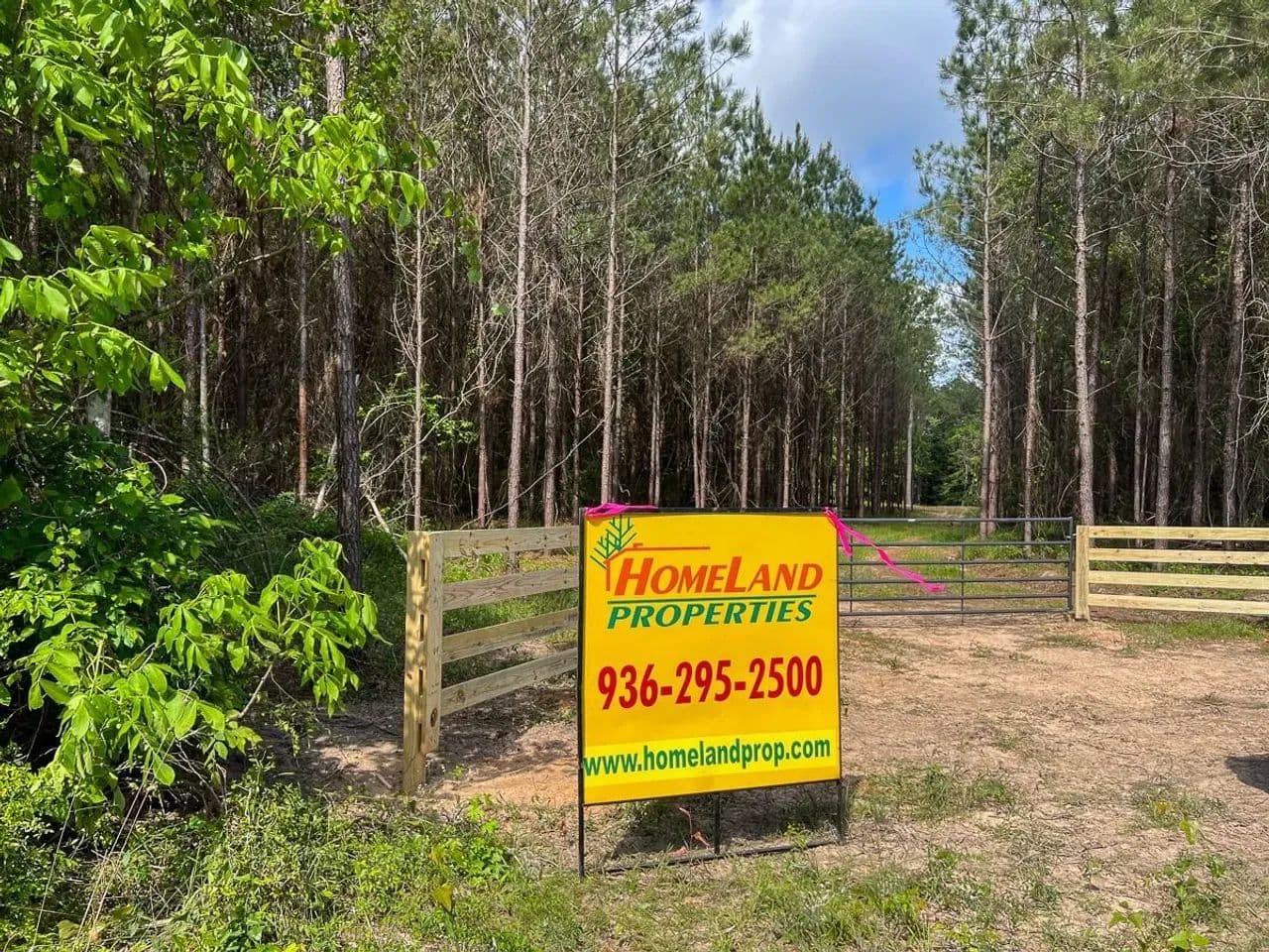 248 Acres | T-5 | Highway 146 - Livingston, Texas, 77351