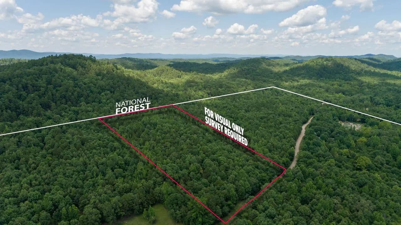 Oden Forest 10 - Oden, Arkansas, 71961