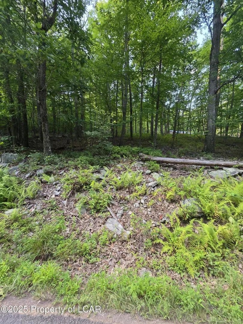 Lots & Land-Other in Sugarloaf