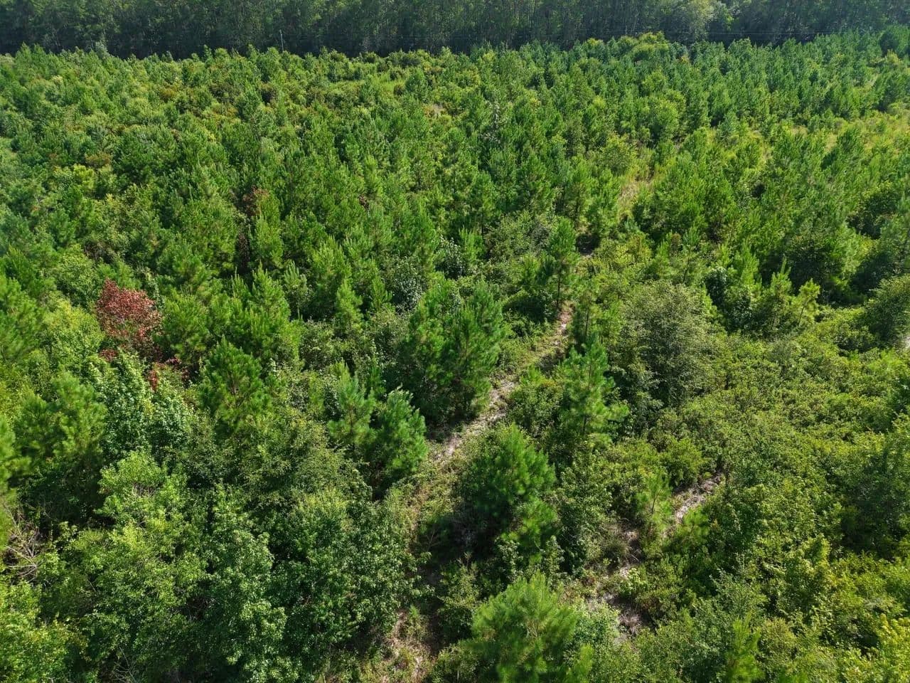6.40 +/- Ac Land for Sale in Camden County, GA - White Oak, Georgia, 31568