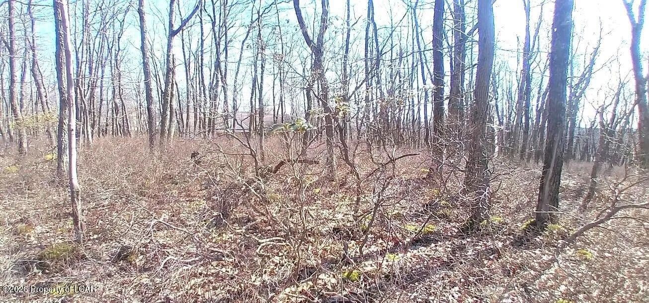 Lots & Land-Other in Hazleton - Hazleton, Pennsylvania, 18202