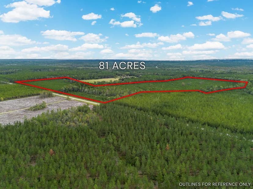 River Road Retreat – 81± Acres in Folkston, GA