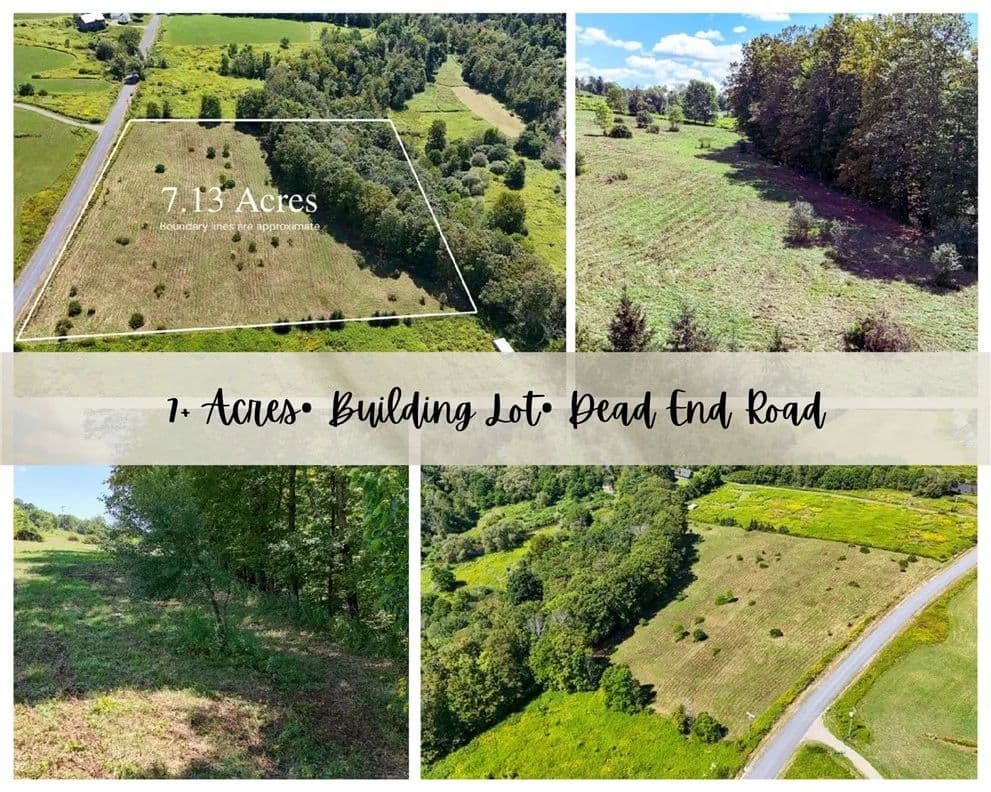 7.32 Acres of Land for Sale in Franklin, NY - Franklin, New York, 13775