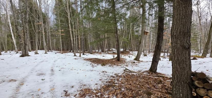 Land -Single Family Acreage in Sumner