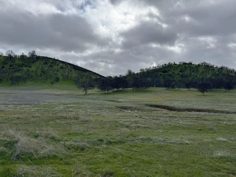 Property from 4289 Sites Lodoga Road - KW