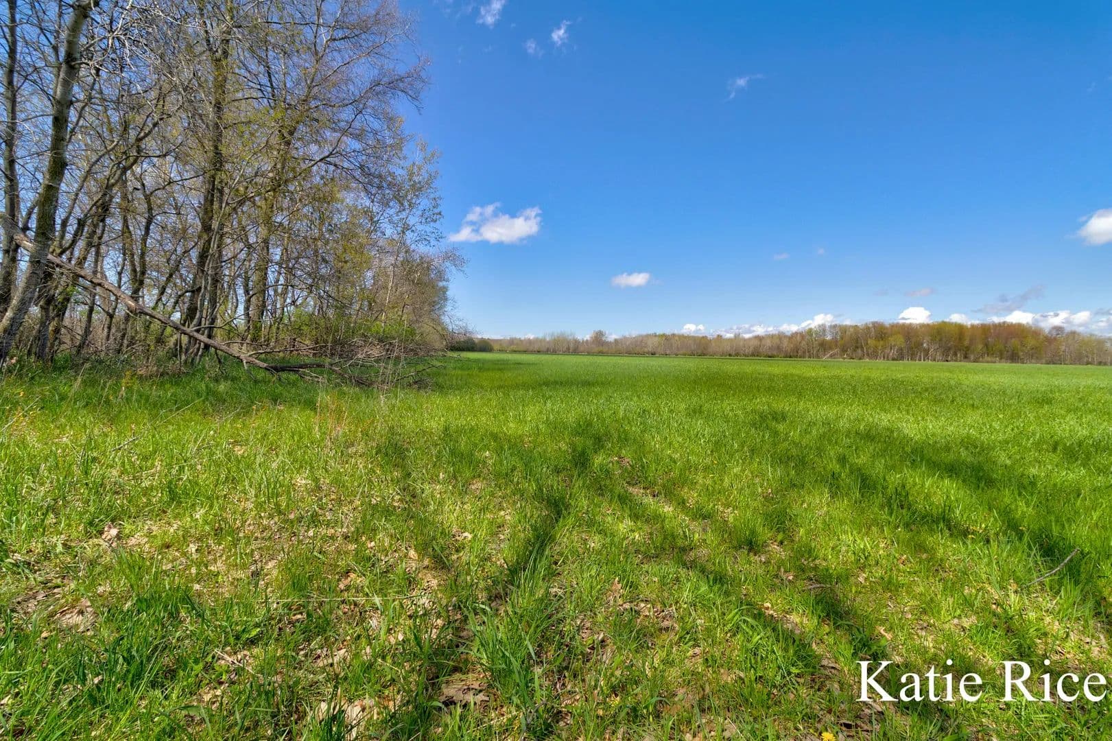Vacant Land in Rothbury - Rothbury, Michigan, 49452