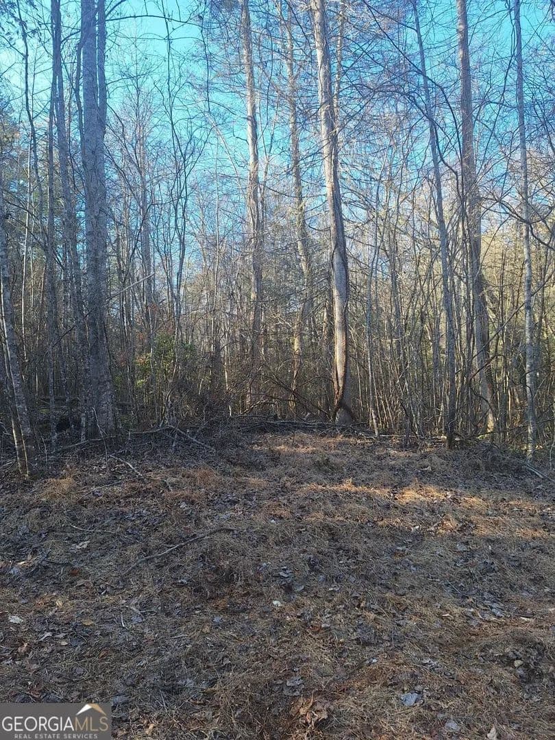 Lots & Land-Other in Blue Ridge