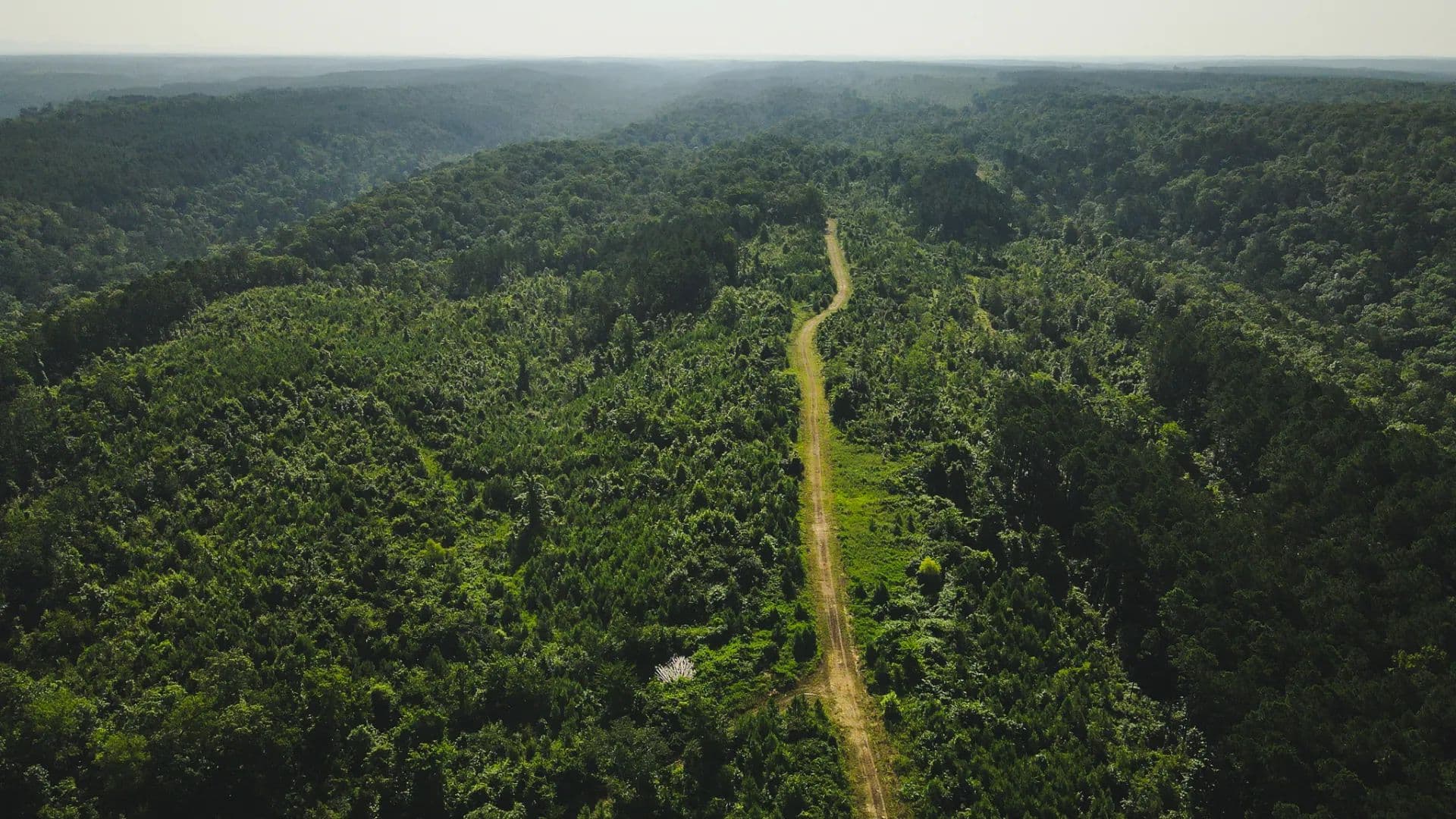 881 Acres in Howard County, AR  - Umpire, Arkansas, 71971