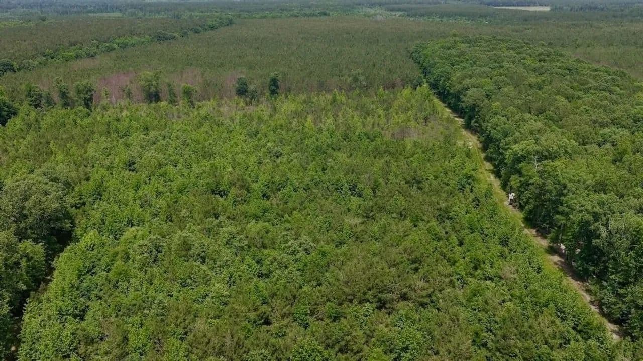 17.58 acres of Hunting and Recreational Land in Bertie County, NC! - Windsor, North Carolina, 27983