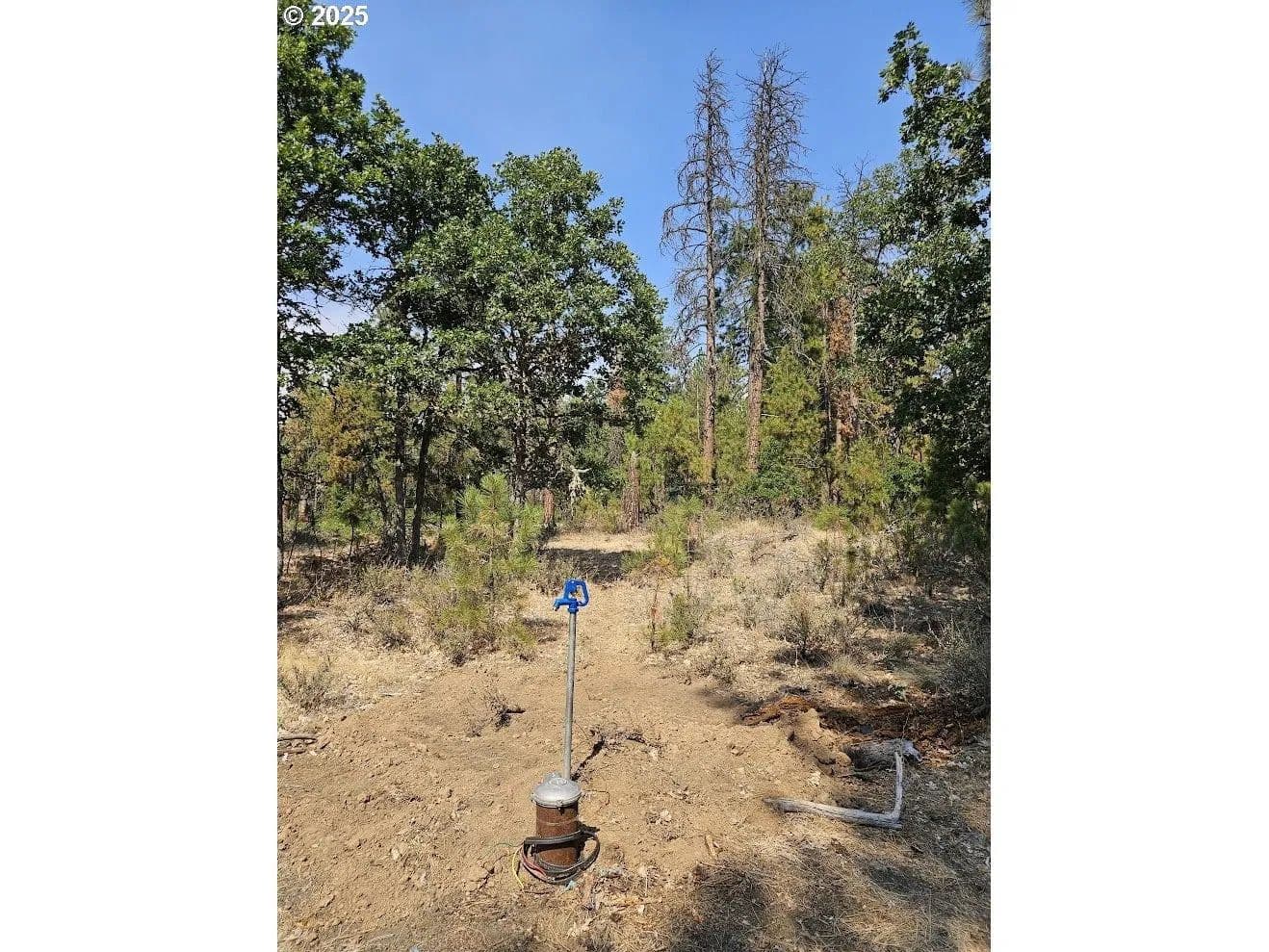 Lots & Land-Other in Goldendale - Goldendale, Washington, 98620