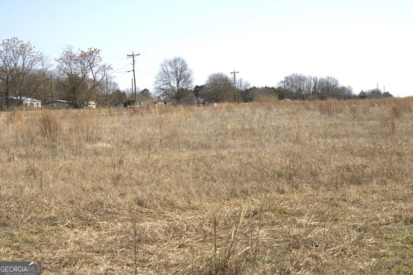 Vacant Land (10+ Acres) in Hartwell