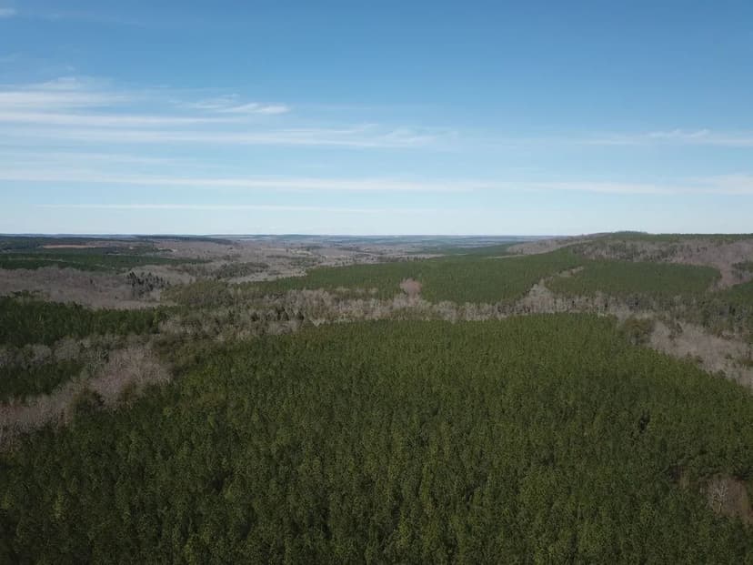 1016 Laurel Creek West