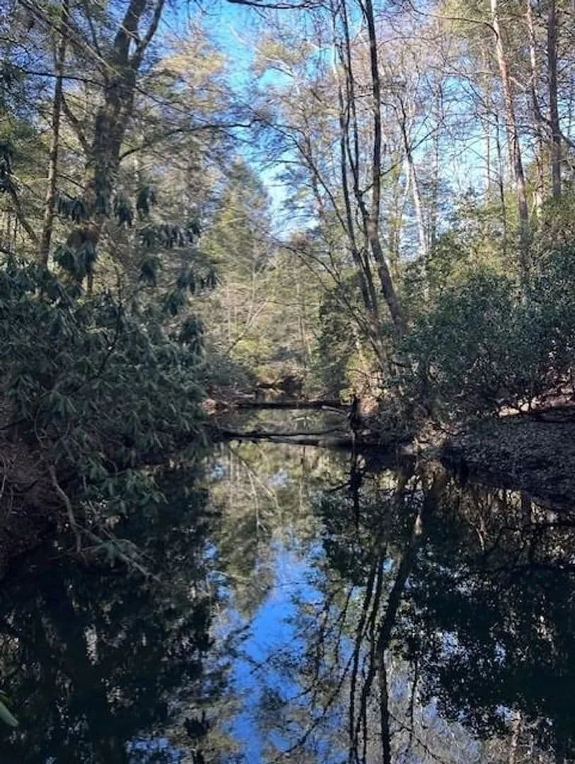 5.06+/-acres Beautiful Creek Property