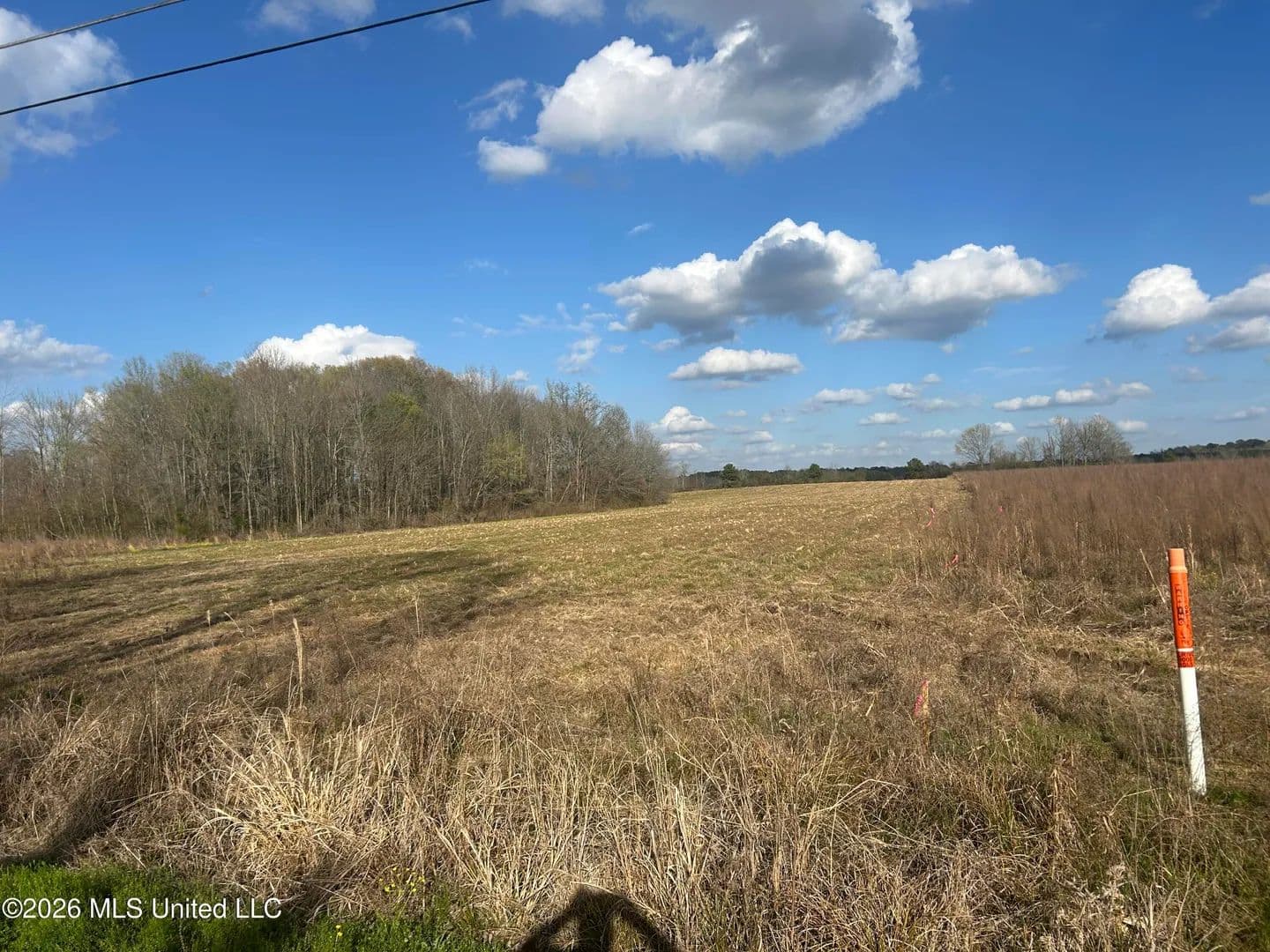 6.44 Acres of Land for Sale in Forest, Mississippi - Forest, Mississippi, 39074