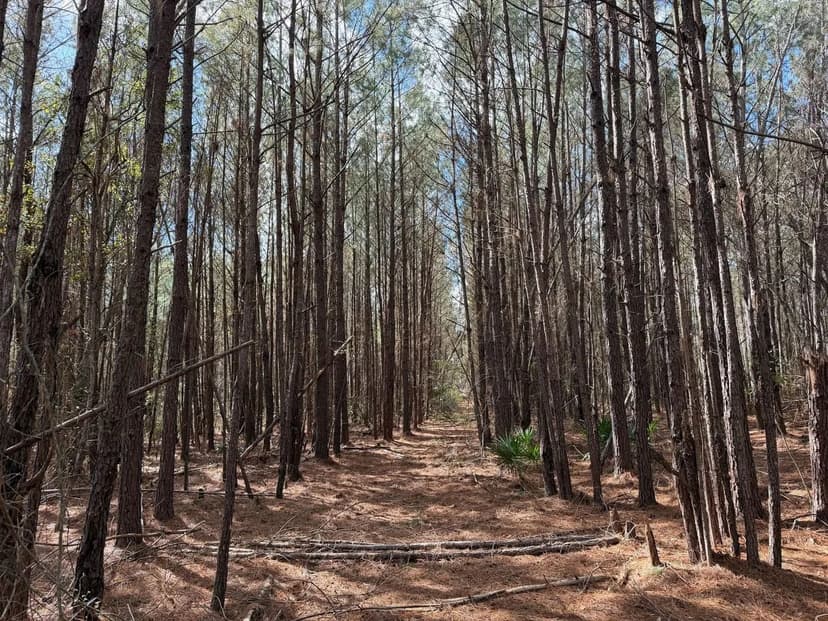 13.39 in Southwest Pierce County