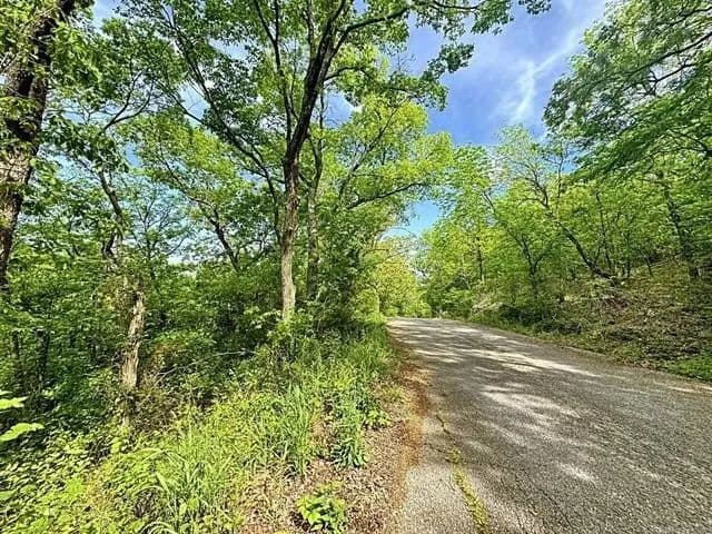 Lots & Land-Other in Vian