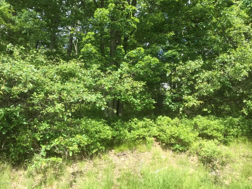 Lots & Land-Other in Hazle Twp