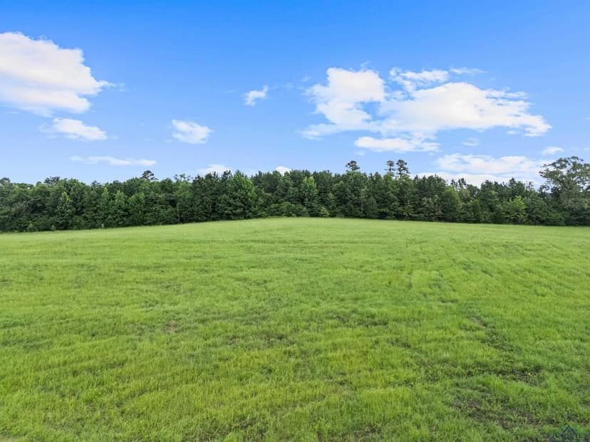 Vacant Land in Tatum