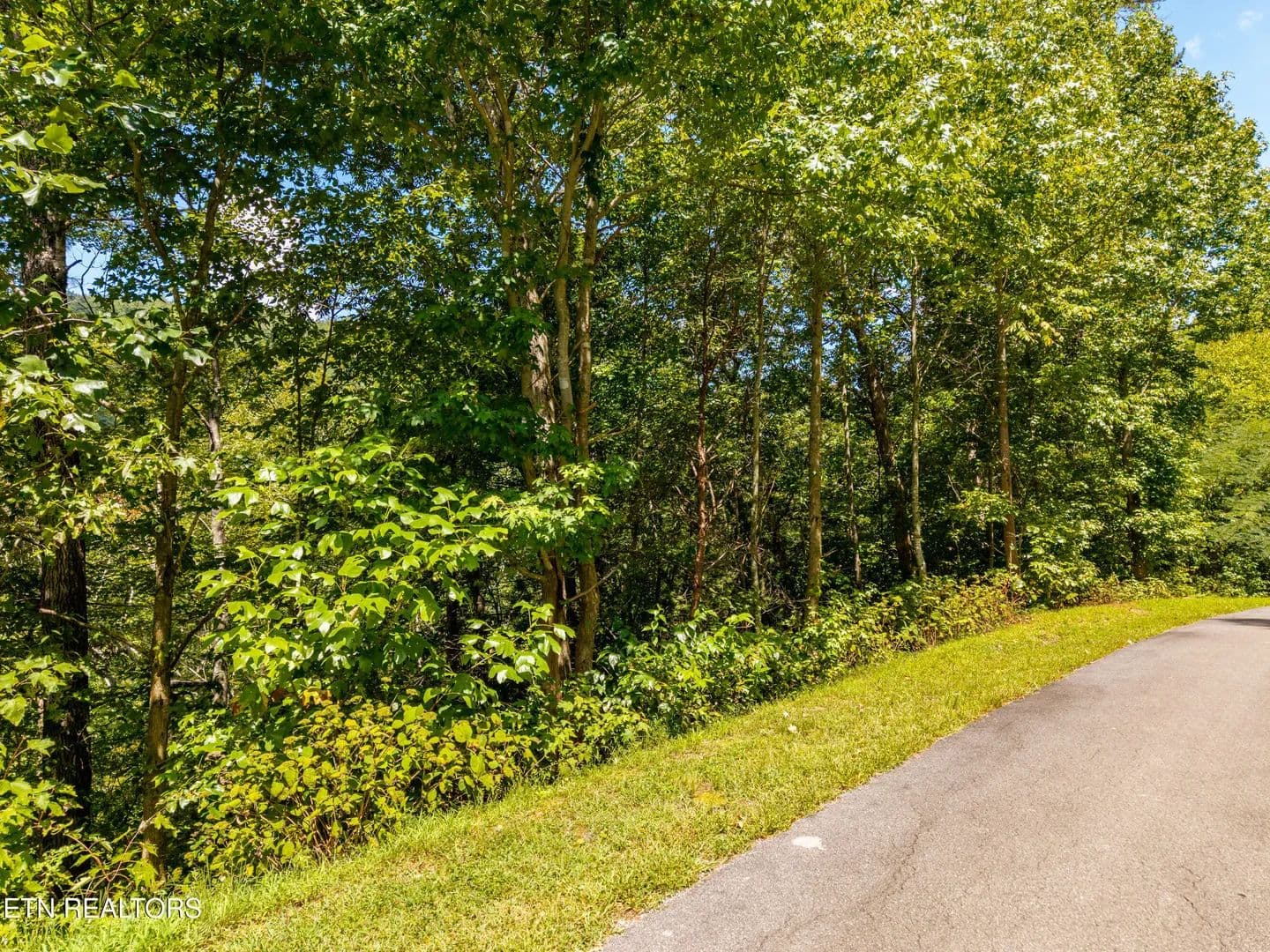 Vacant Land in Townsend - Townsend, Tennessee, 37882