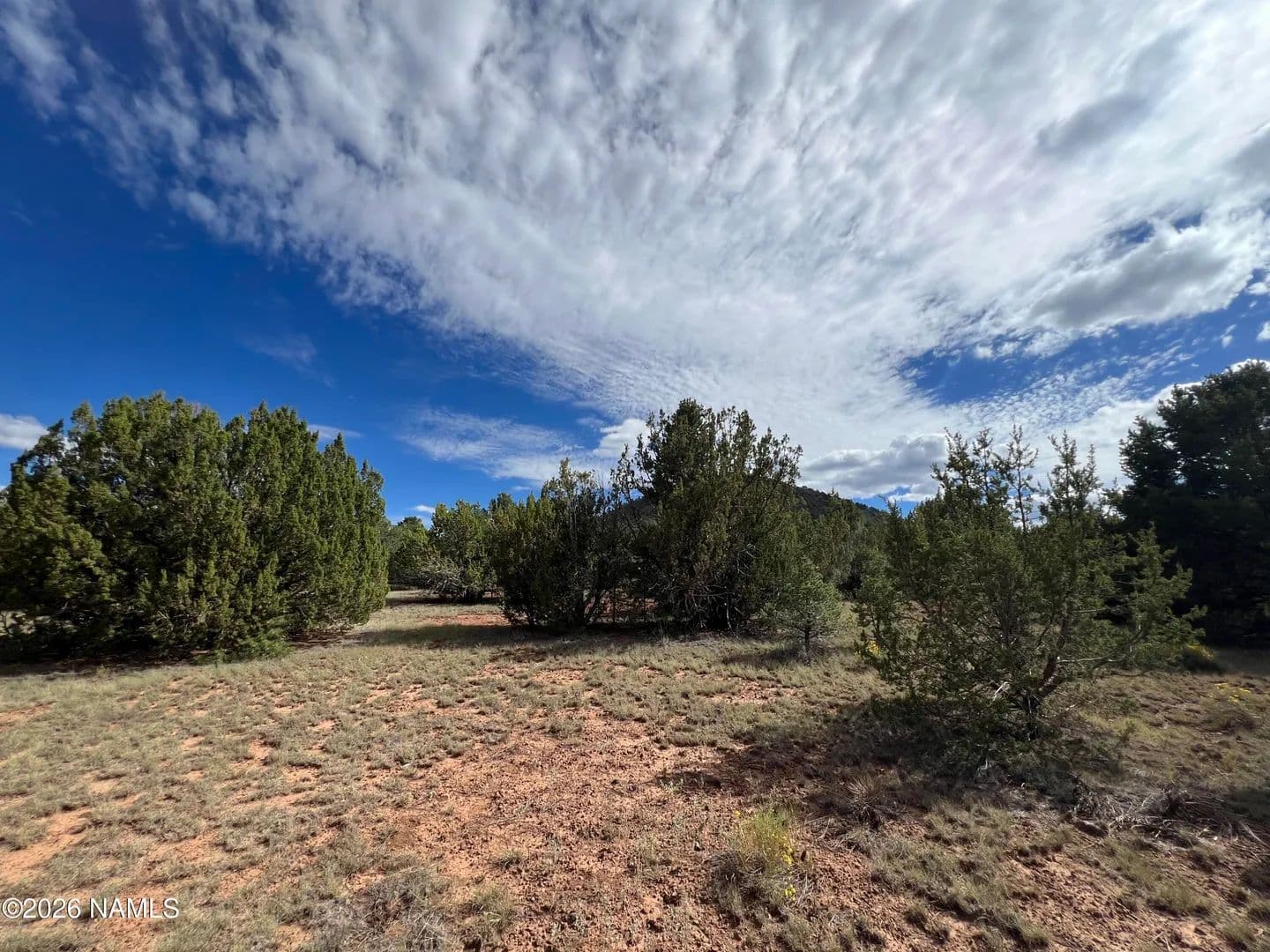 Lots & Land-Other in Williams - Williams, Arizona, 86046