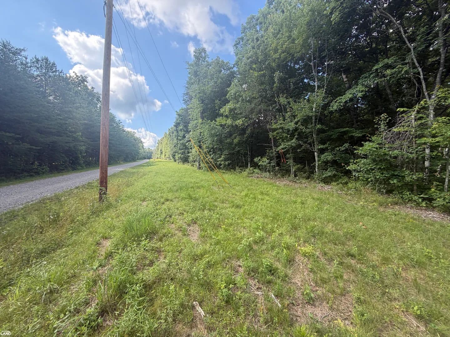 Muddy Branch Timber and Recreation Land - Crossville, Tennessee, 38571