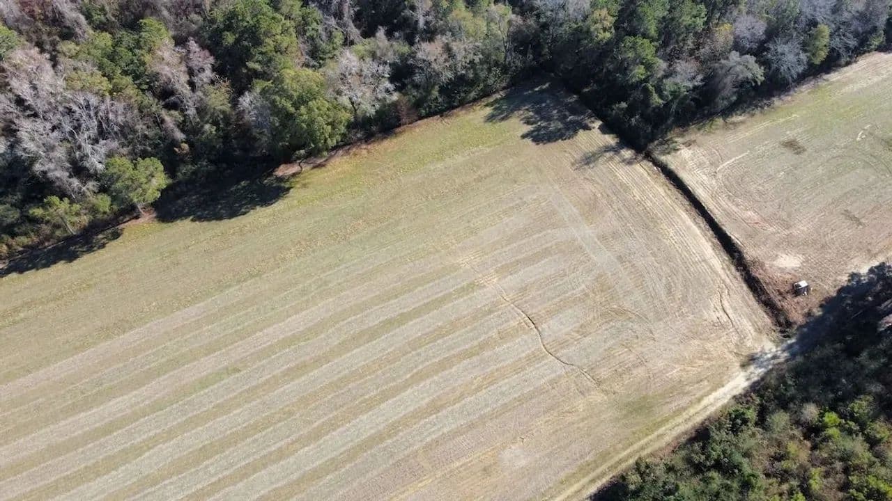 20.85 acres of Farm Land For Sale in Horry County, SC! - Nichols, South Carolina, 29581
