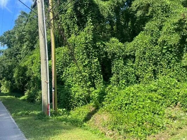 Land -Agricultural (Not Zoned) in Soddy Daisy - Soddy Daisy, Tennessee, 37379