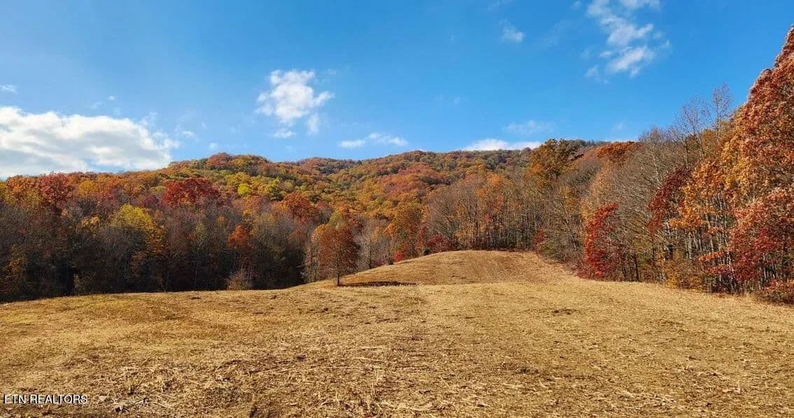 15.69 Acres of Land for Sale in Oliver Springs, TN - Oliver Springs, Tennessee, 37840