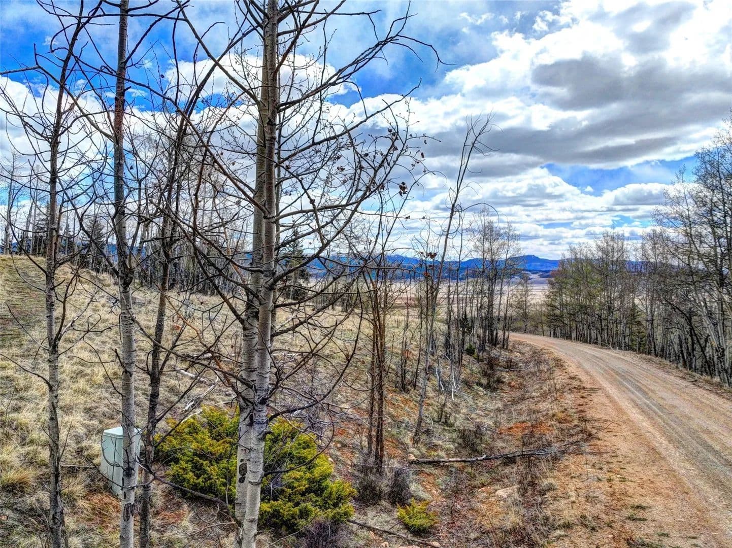 3.17 Acres of Land for Sale in Jefferson, CO - Jefferson, Colorado, 80456